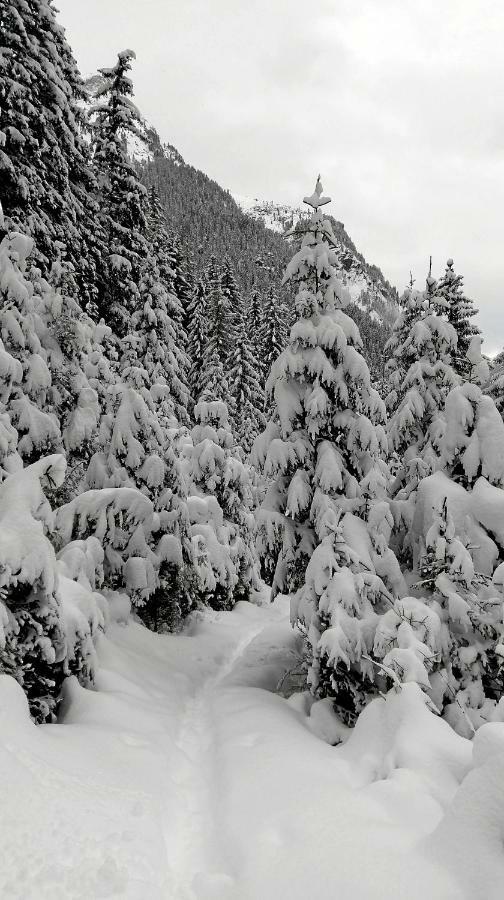 Haus Rosi Leilighet Sankt Leonhard im Pitztal Eksteriør bilde